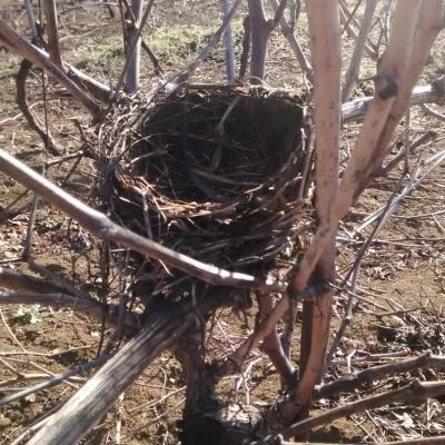 Img 20180128 104647696