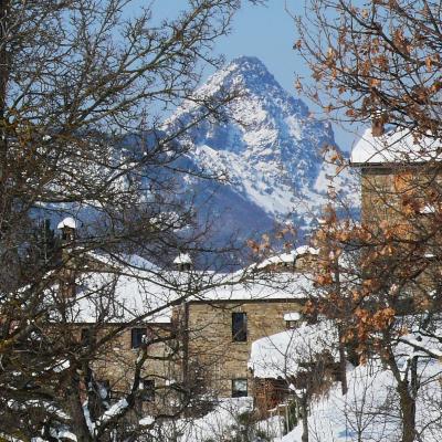 Neve